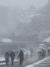 雪の皇居前