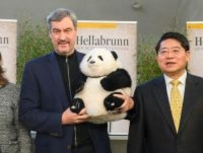 中国、独にパンダ２頭貸与