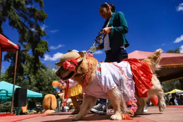 ペット飼育に責任を