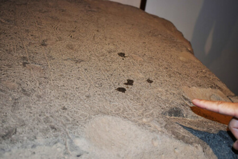 薬師寺国宝に液体か＝奈良時代の「仏足石」―県警