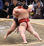 「支度部屋＝大相撲九州場所」の画像1