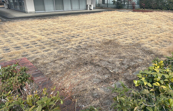 空き地放火「地面を元気に」＝容疑で会社役員逮捕―警視庁