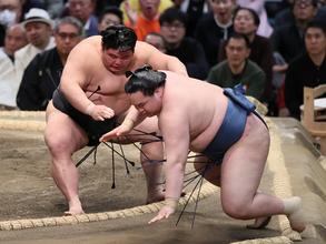 伯乃富士の押し出し