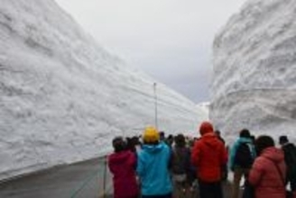 「雪の大谷」観光客を圧倒