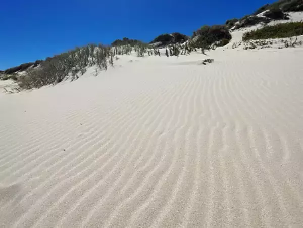 自然が織りなすしま模様