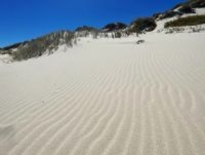 自然が織りなすしま模様