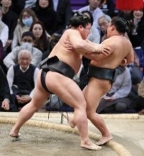 若元春の寄り切り