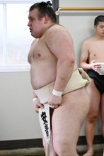 安青錦、順調な仕上がり