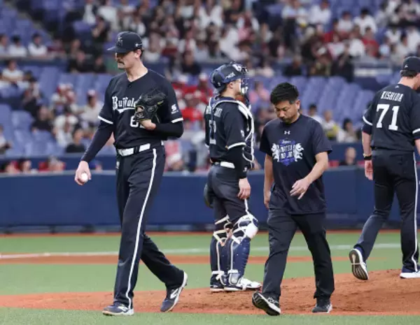 降板するジェリー　プロ野球