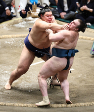 大の里の突き出し