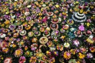 水面埋め尽くす灯籠