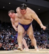 安青錦の寄り切り