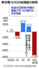 経営安定化、いまだ見通せず＝収支改善期待も、膨らむ賠償・廃炉費用―東電ＨＤ
