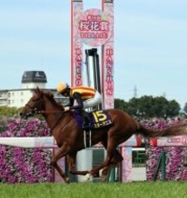 ２歳女王スターアニスが優勝＝高野調教師はクラシック初Ｖ―競馬桜花賞