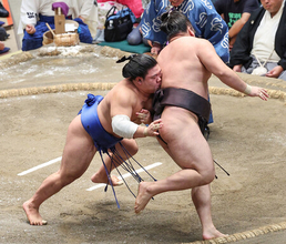 藤ノ川、３大関総なめ＝止まらぬ快進撃―大相撲秋場所