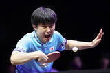 「張本智のプレー　卓球ＷＴＴ」の画像1