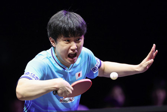 張本智のプレー　卓球ＷＴＴ