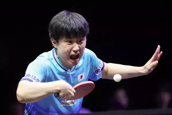 張本智のプレー　卓球ＷＴＴ