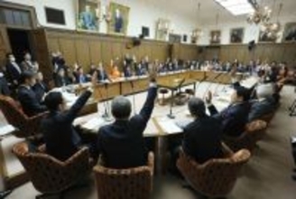 参院財政金融委員会