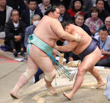 「敗れた琴桜」の画像1