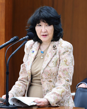 支援金、低所得者は定額年５０００円＝年収１６０万円まで増加、政府が「参考値」