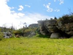 ５５００年前の人骨から梅毒ＤＮＡ