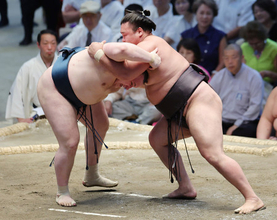 攻める安青錦
