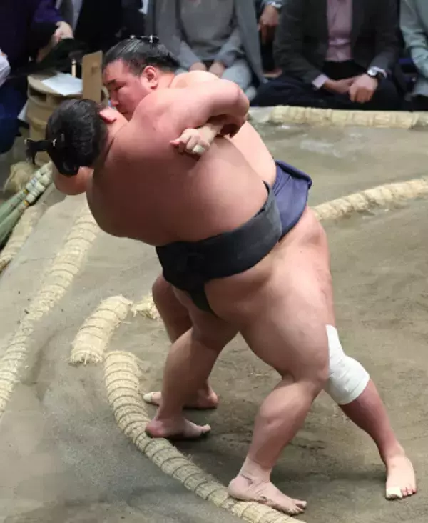 豊昇龍の寄り倒し