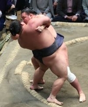 豊昇龍の寄り倒し