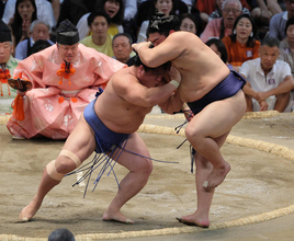 若隆景、新鋭を圧倒＝大相撲名古屋場所