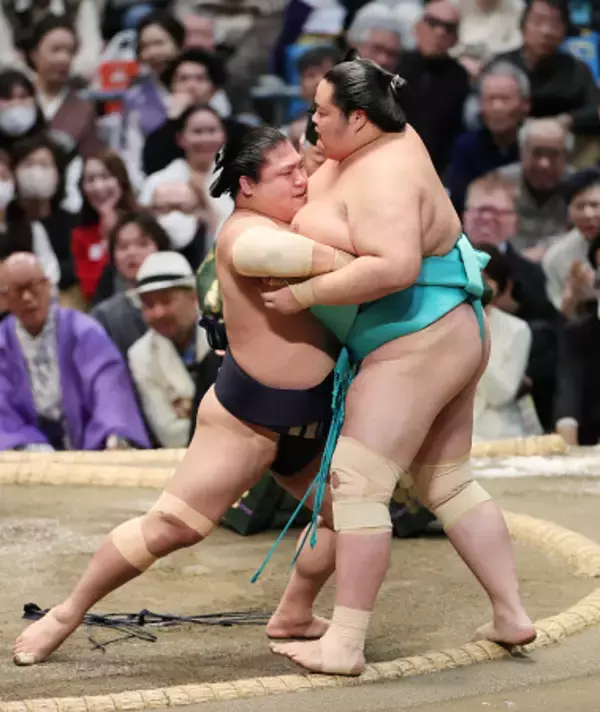 琴桜を破る若隆景