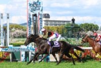 クロワデュノールに注目