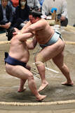 「琴勝峰と琴栄峰、そろって白星＝大相撲夏場所」の画像1