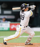 「野村のソロ　プロ野球」の画像1