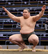 旭富士、衝撃のデビュー＝２３歳、元横綱のしこ名継承し