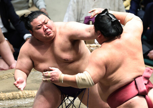 美ノ海、沖縄初の三役へ＝大相撲秋場所