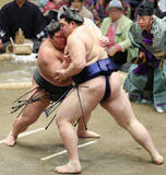 「攻める伯乃富士」の画像1