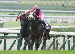 優勝したメイショウタバル
