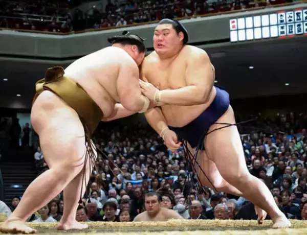 上位陣、連日の安泰＝大相撲初場所２日目