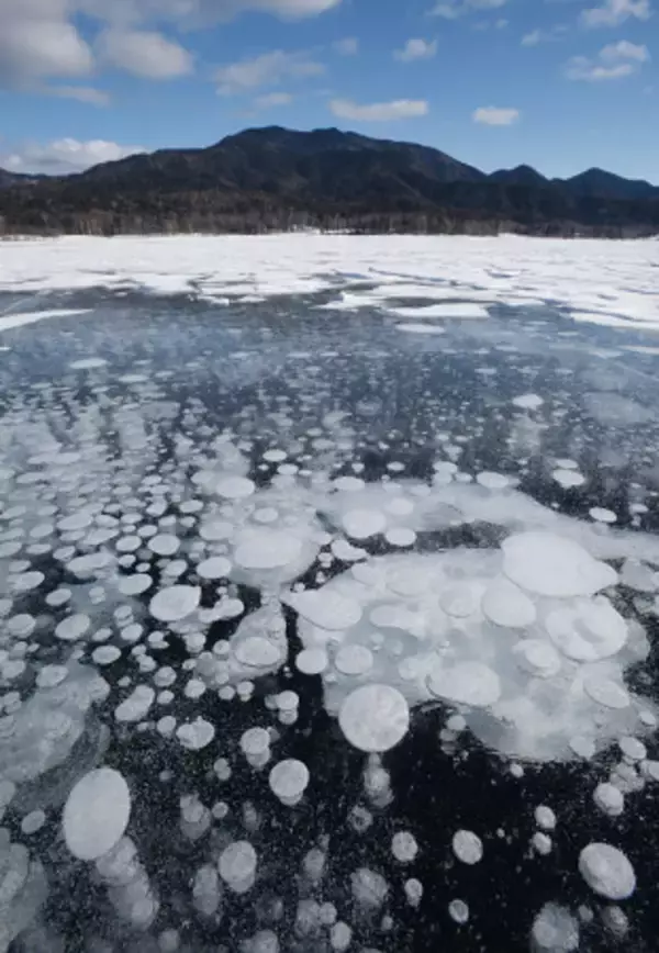 氷点下の湖に「アイスバブル」