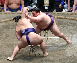 自然体の美ノ海＝大相撲秋場所