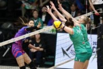 北窓のスパイク