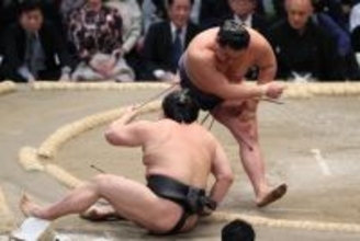 豊昇龍の寄り倒し