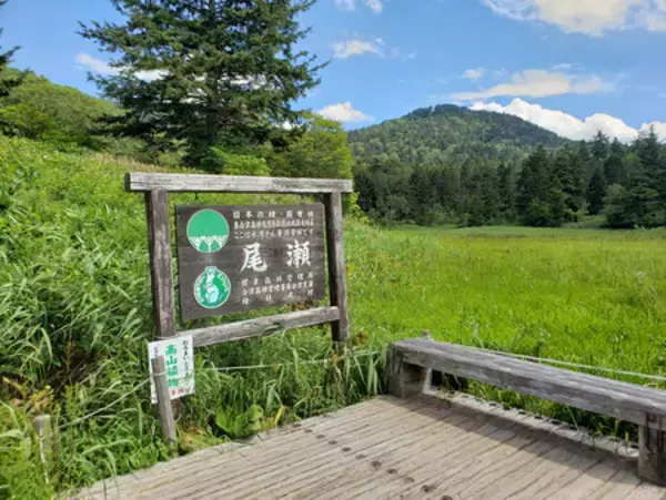 尾瀬入山者から協力金５００円＝８、９月に任意徴収実証―群馬県