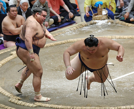 大の里に土