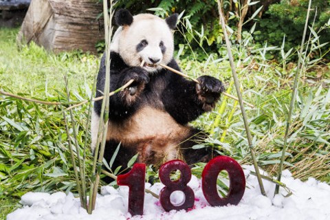 独動物園 180周年