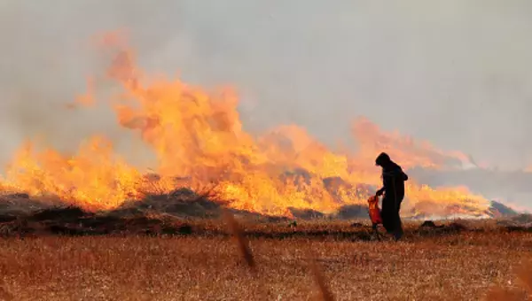 春を告げる火入れ