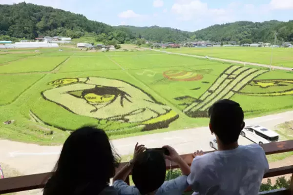 稲穂で描く羽生結弦さんの舞