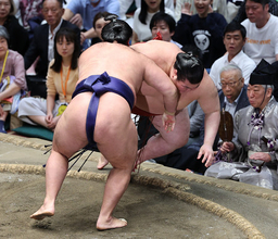 敗れた熱海富士