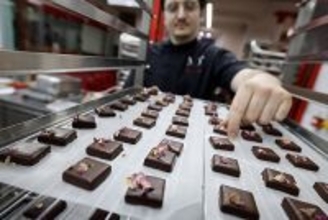 チョコレートがずらり